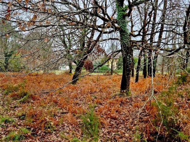 Terrain vente à Dax, Saint-julien-en-born