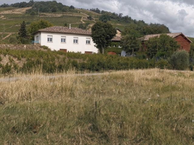 Terrain vente à Saint-Lager, Rhône