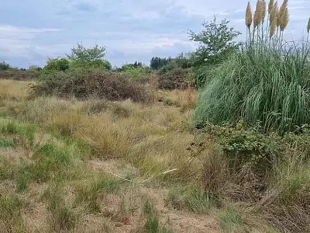 Terrain vente à Nîmes, Saint-laurent-d'aigouze