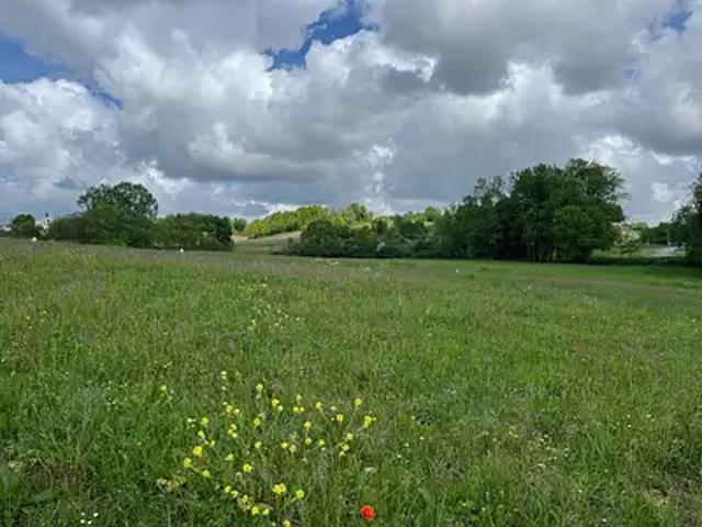 Terrain vente à France métropolitaine, Saint-laurent-de-cognac