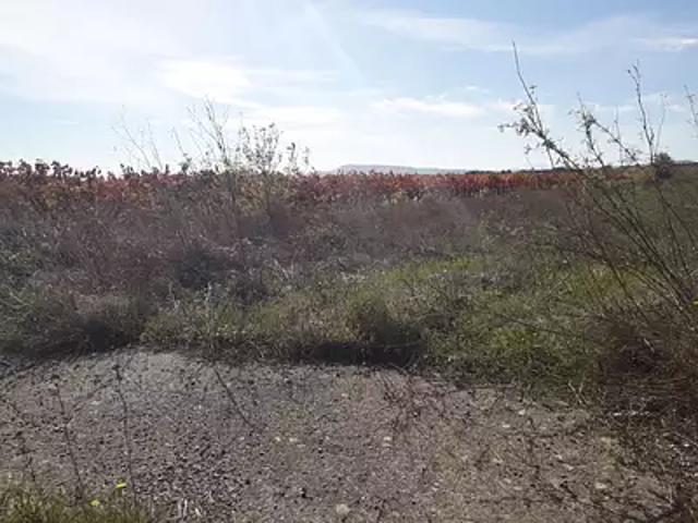 Terrain vente à Narbonne, Saint-laurent-de-la-cabrerisse