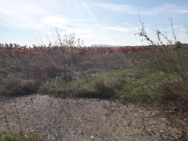 Terrain vente à Narbonne, Saint-laurent-de-la-cabrerisse
