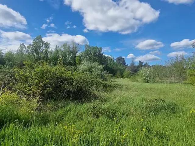 Terrain vente à Périgueux, Saint-laurent-des-hommes
