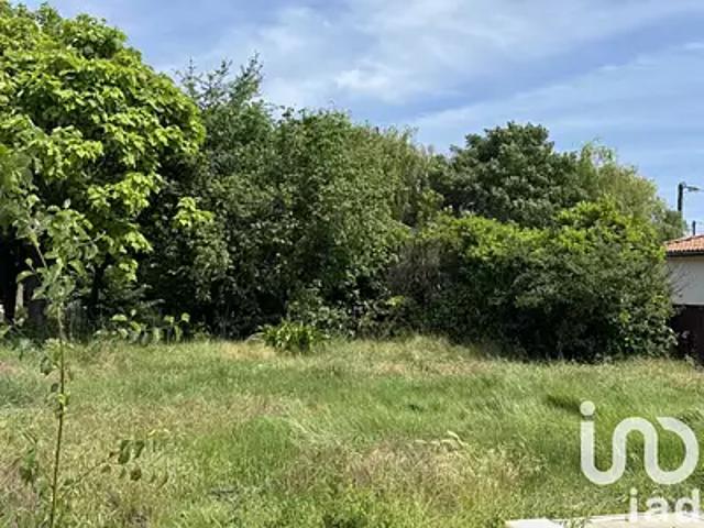 Terrain vente à Lesparre-Médoc, Saint-laurent-médoc