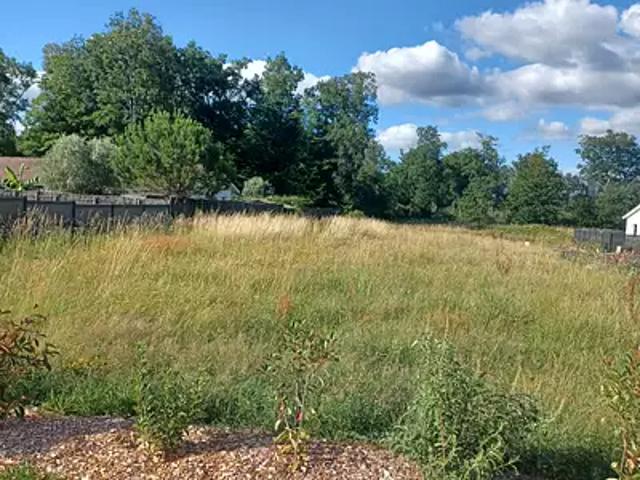 Terrain vente à Lesparre-Médoc, Saint-laurent-médoc