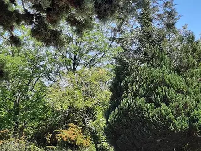 Terrain vente à Lesparre-Médoc, Saint-laurent-médoc