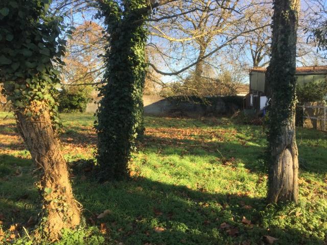 Terrain vente à Lesparre-Médoc, Saint-laurent-médoc