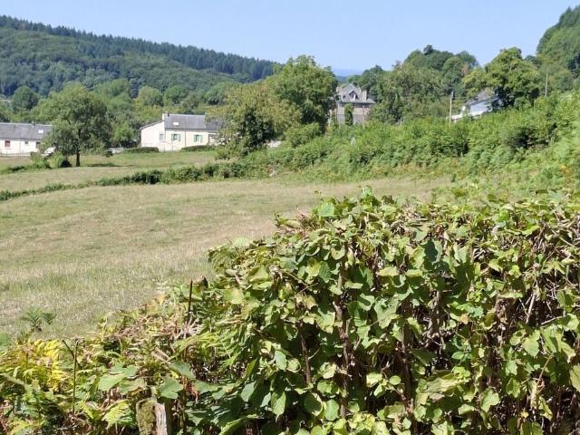 Maison vente à Château-Chinon (Ville), Saint-léger-de-fougeret
