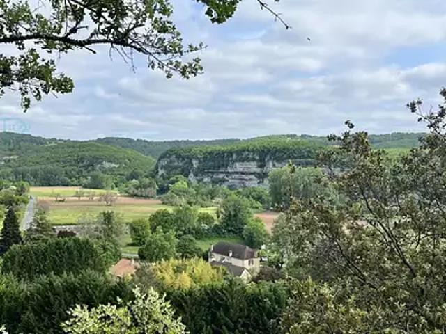 Maison vente à Saint-Léon-sur-Vézère, Dordogne