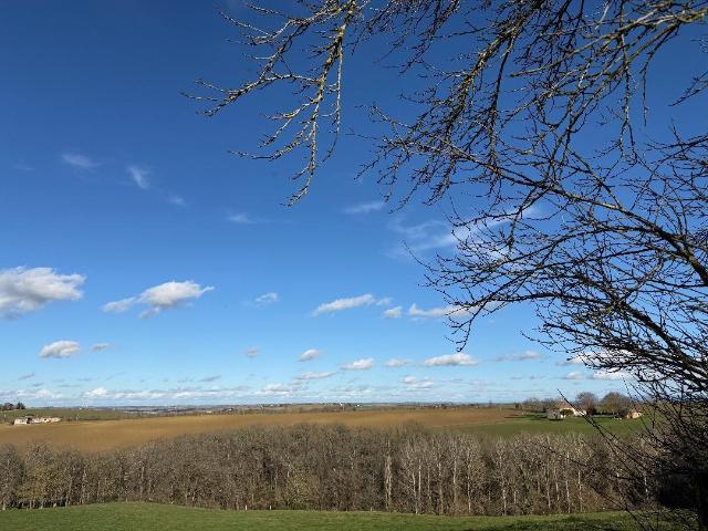 Terrain vente à Toulouse, Saint-léon
