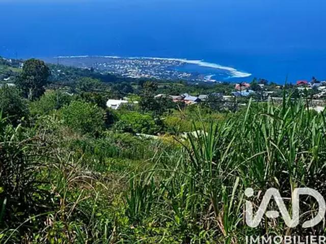 Terrain vente à La Réunion