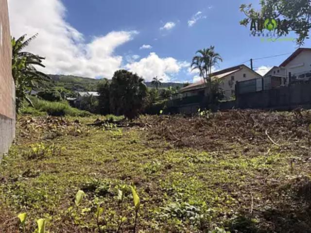 Terrain vente à La Réunion