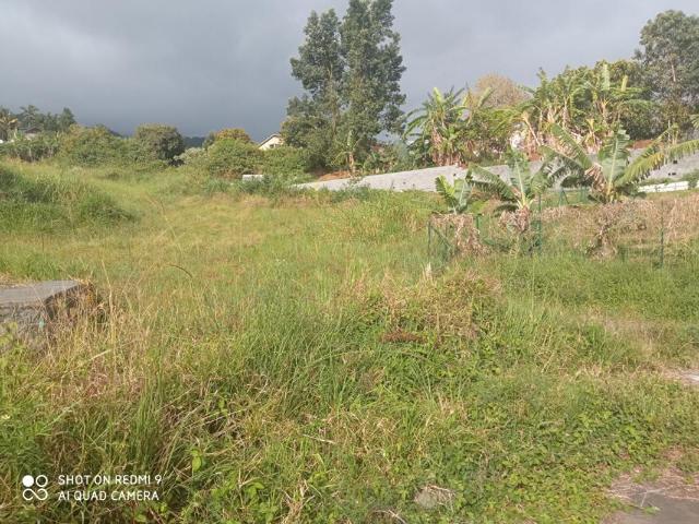 Terrain vente à La Réunion