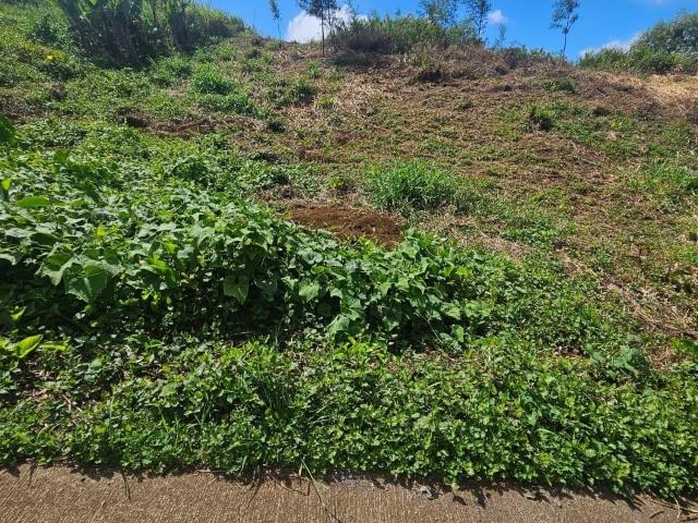 Terrain vente à La Réunion