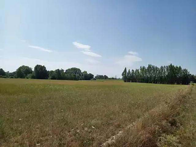 Terrain vente à Castres, Saint-lieux-lès-lavaur