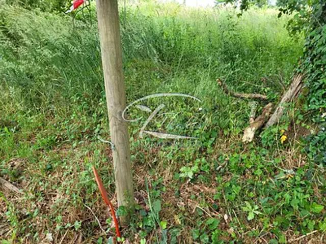 Terrain vente à Bordeaux, Saint-loubès