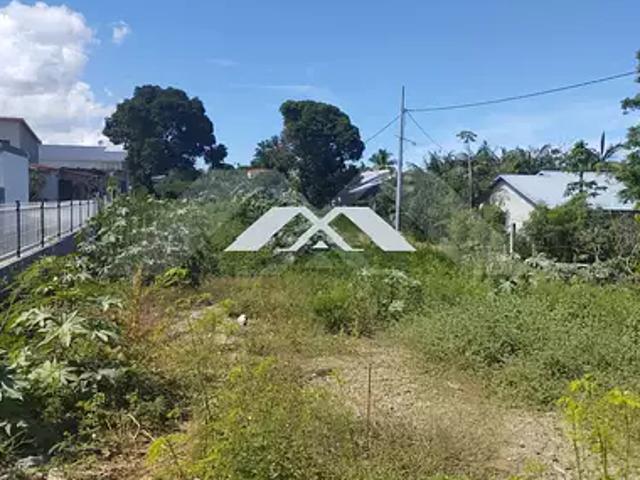 Terrain vente à La Réunion