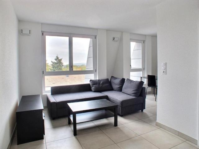Appartement location à Mulhouse, Saint-louis