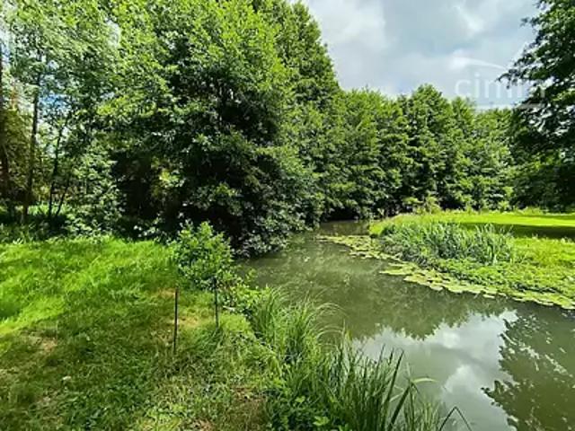Terrain vente à La Fuie, Saint-Lubin-en-Vergonnois