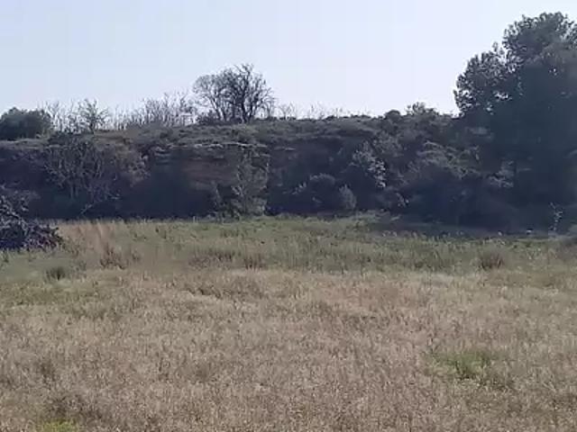 Terrain vente à Saint-Marcel-sur-Aude, Aude