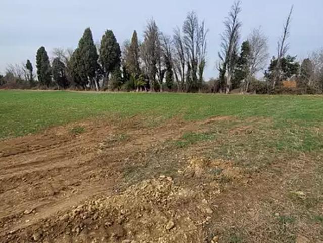 Terrain vente à Arles, Saint-martin-de-crau