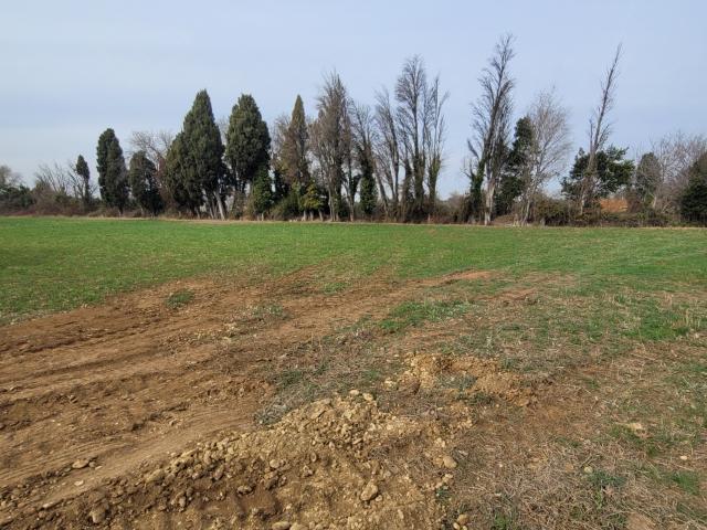 Terrain vente à Arles, Saint-martin-de-crau
