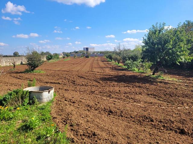 Terrain vente à Fontenay-le-Comte, Saint-martin-de-fraigneau