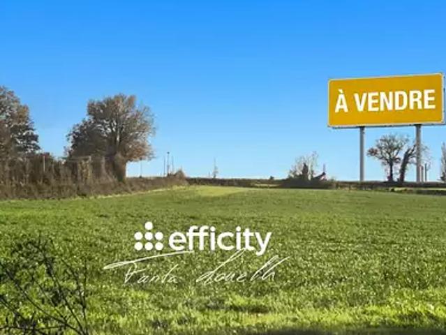 Terrain vente à Fontenay-le-Comte, Saint-martin-des-fontaines