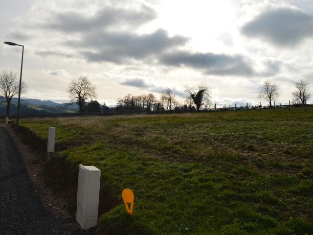Terrain vente à Roanne, Saint-martin-d'estréaux
