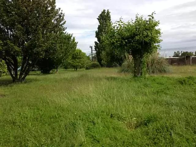 Terrain vente à Libourne, Saint-martin-du-bois