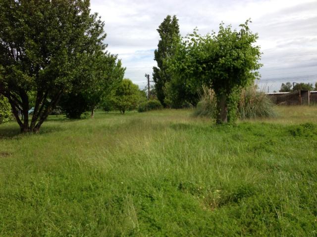 Terrain vente à Libourne, Saint-martin-du-bois