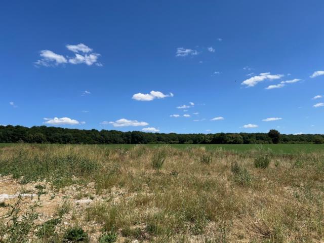 Terrain vente à Sarcelles, Saint-martin-du-tertre