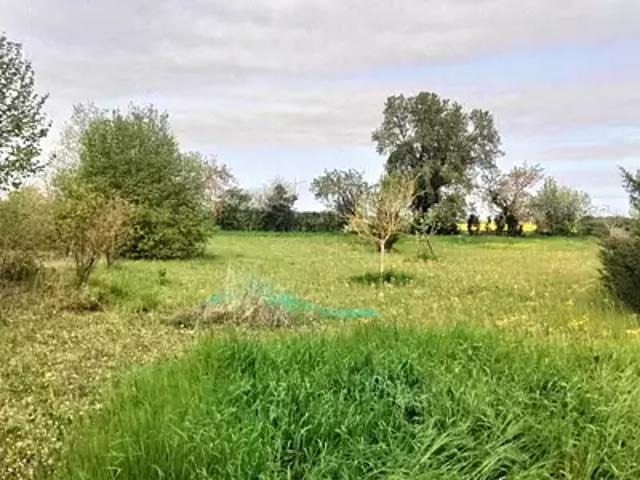 Terrain vente à Poitiers, Vendeuvre-du-poitou