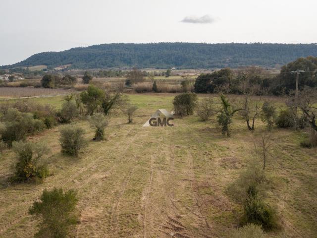 Terrain vente à Lodève, Saint-mathieu-de-tréviers