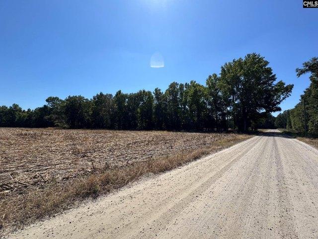 Land for sale in Sumter, South Carolina