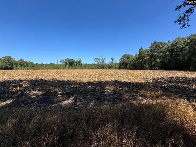 Land for sale in Sumter, South Carolina