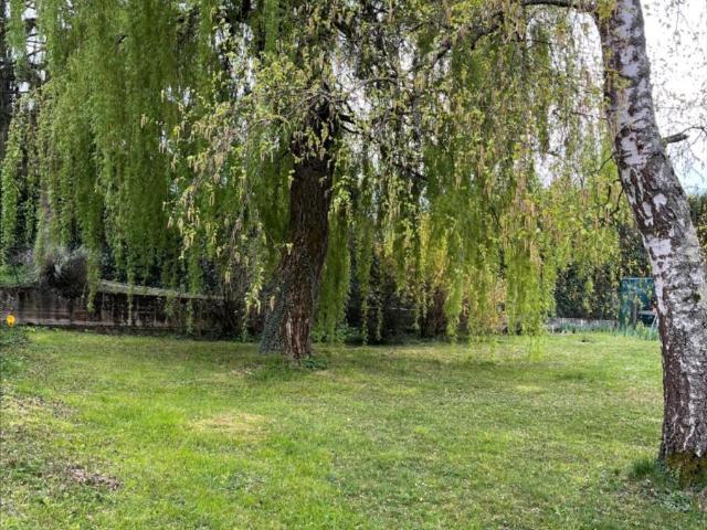 Terrain vente à France métropolitaine, Saint-maurice-de-beynost