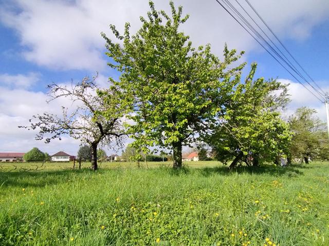 Terrain vente à Saint-Maurice-en-Rivière, Saône-et-Loire