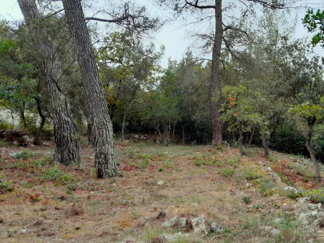 Terrain vente à Brignoles, Saint-maximin-la-sainte-baume