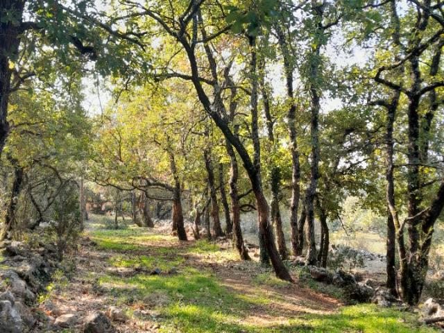 Terrain vente à Brignoles, Saint-maximin-la-sainte-baume