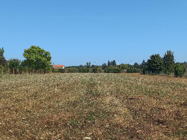 Terrain vente à Périgueux, Saint-médard-de-mussidan