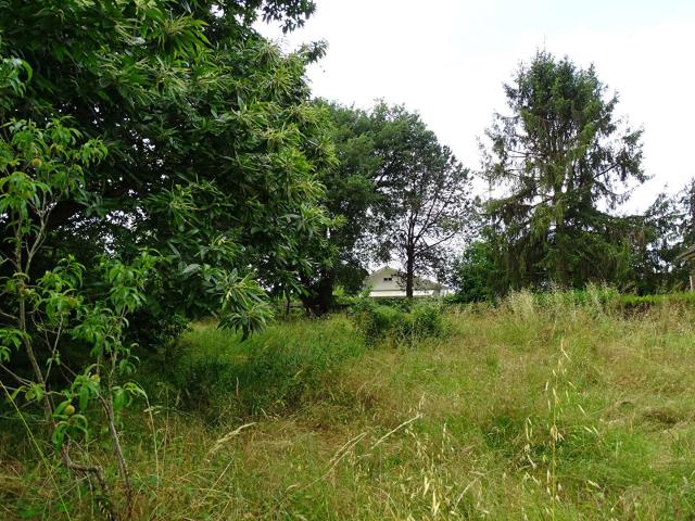 Terrain vente à Périgueux, Saint-médard-de-mussidan