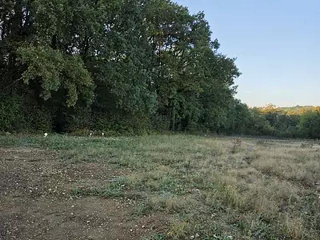 Terrain vente à Saint-Michel, Charente