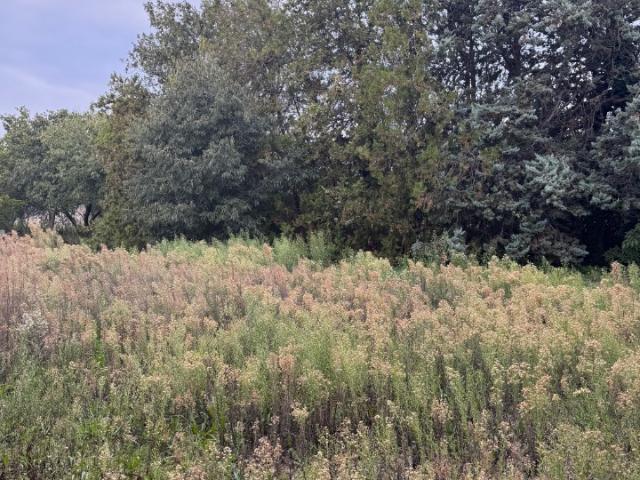 Terrain vente à France métropolitaine, Saint-mitre-les-remparts