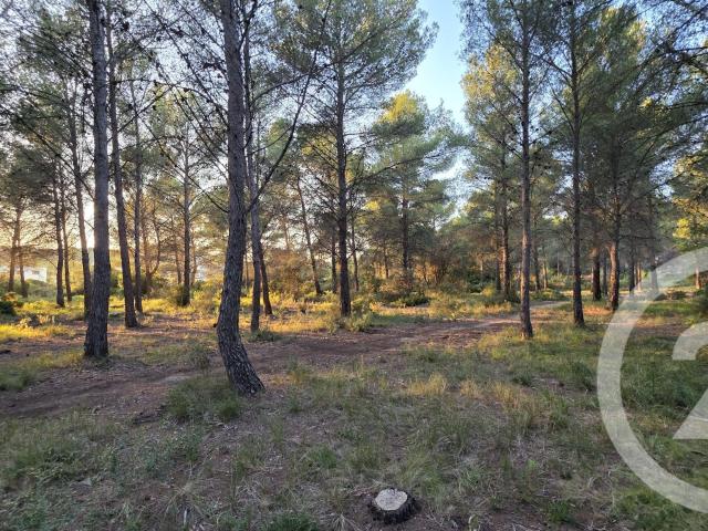 Terrain vente à France métropolitaine, Saint-mitre-les-remparts