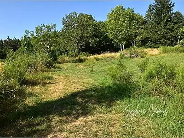 Terrain vente à Yssingeaux, Saint-pal-de-mons
