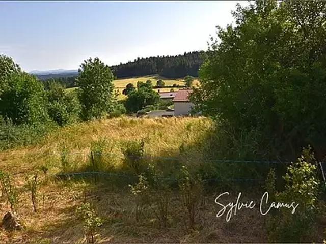 Terrain vente à Yssingeaux, Saint-pal-de-mons