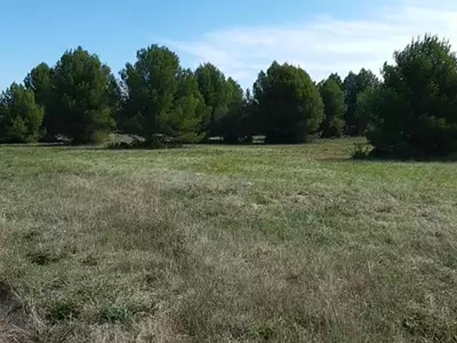 Terrain vente à Lodève, Saint-pargoire