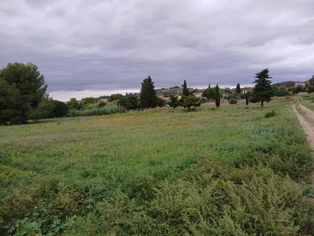 Terrain vente à Lodève, Saint-pargoire