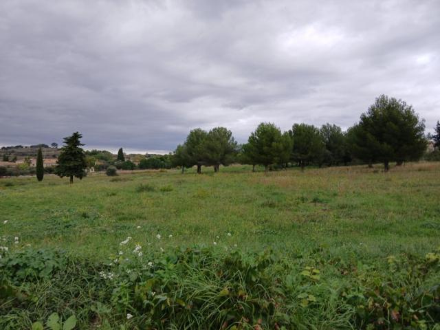 Terrain vente à Lodève, Saint-pargoire